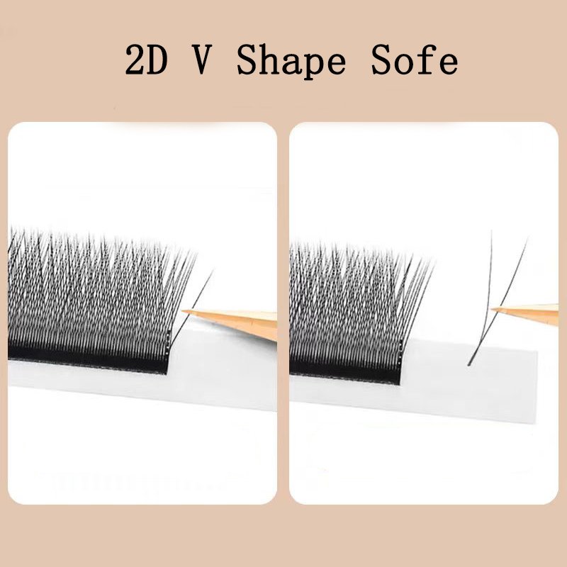 Pestañas MARIA 2D en forma de  - Eyelash Extension Logo reseña y precio